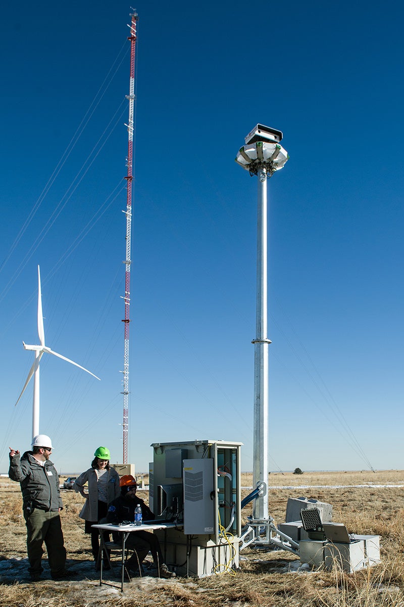 Spirit the Eagle Helps to Stop Birds Getting Chopped by Wind Turbines