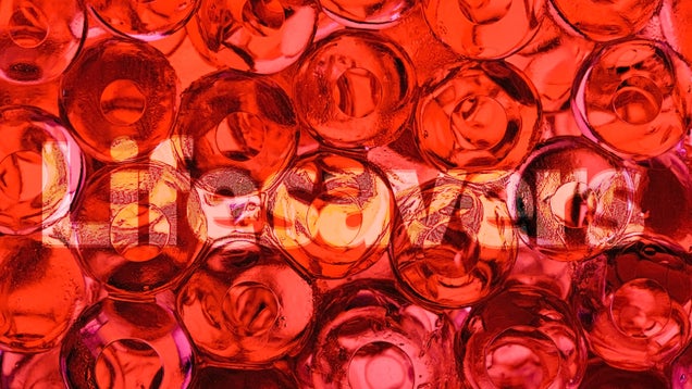The 13 Most Amazing Science Stories of 2012