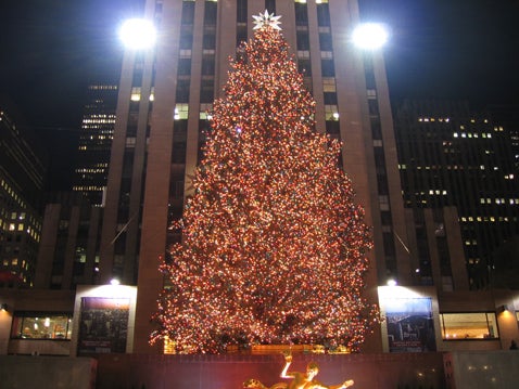 going green er rockefeller christmas tree will light up going green er rockefeller christmas tree will light up