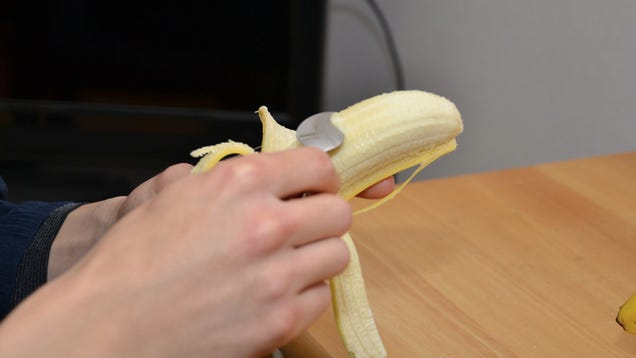 How a Banana Becomes Art