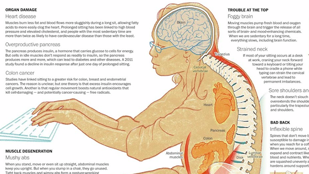 This Graphic Explains All the Health Hazards of Sitting for Too Long