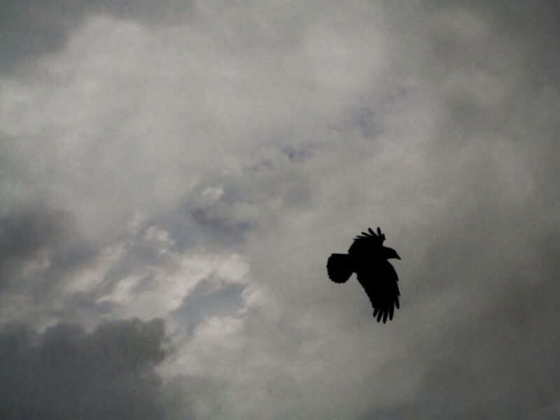 The Wrong Way to Plan for the Future