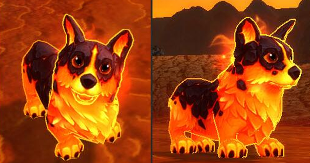 molten corgi