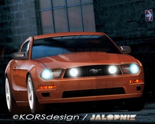 2010 Ford Mustang In The Nude!