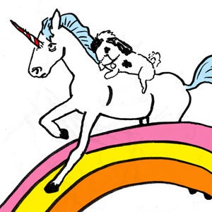 OMG Weeping Tears of Joy: Election-Night Overshares