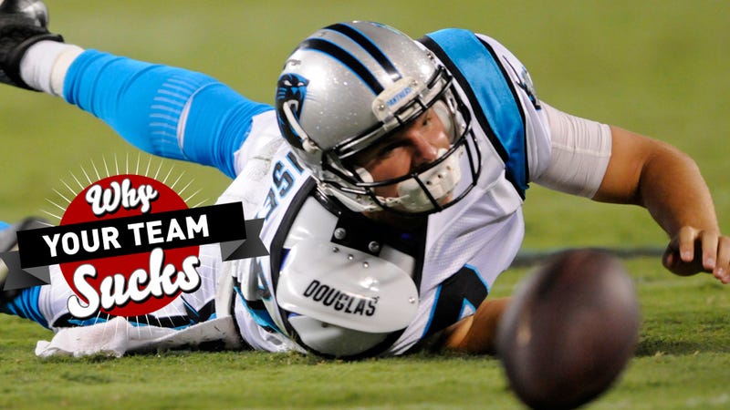 Why Your Team Sucks 2014: Carolina Panthers