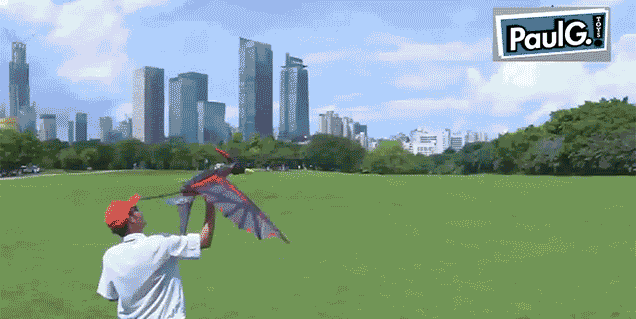 flying pterodactyl toy