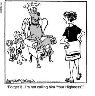 Marmaduke is the biggest "F*** You" to modernity I've ever seen