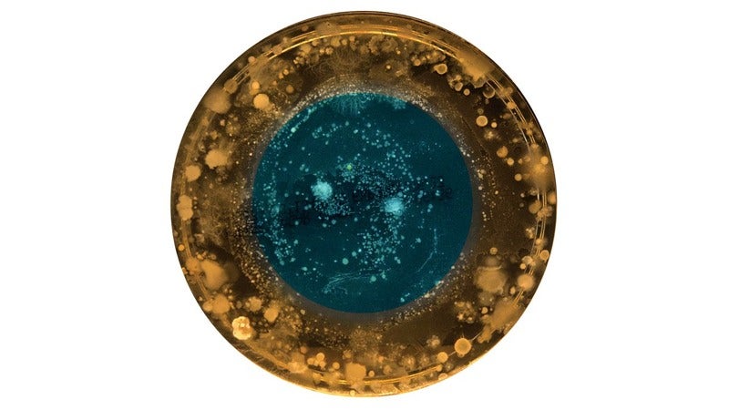 Your Navel Lint Makes a Beautiful Portrait as Unique as Your Fingerprint