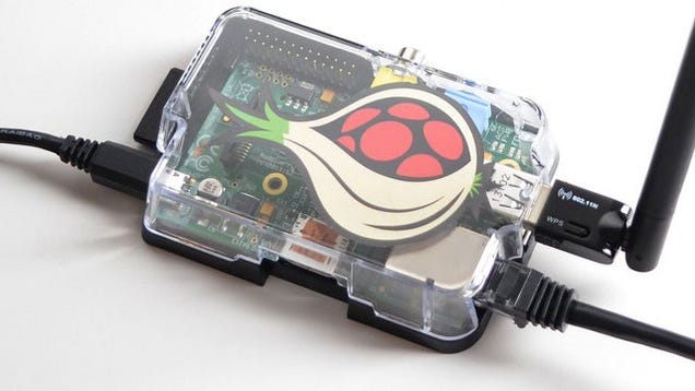Roll Your Own Anonymizing Tor Proxy with a Raspberry Pi
