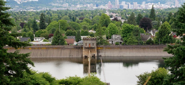 Portland's Draining an Entire Reservoir Because One Dude Peed In It