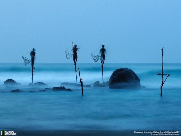 The winning images from Nat Geo's 2012 Photography Competition will blow you away
