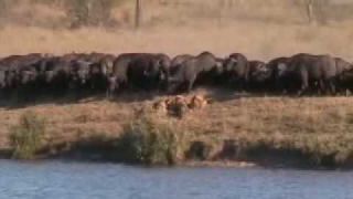 Youtube Will Probably Never Host A More Dramatic Video Than This