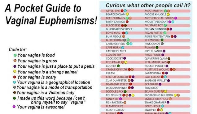 The Pocket Guide To Vaginal Euphemisms And Their Meanings 