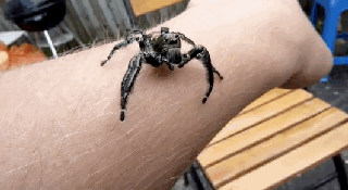 1415868827703014029.gif