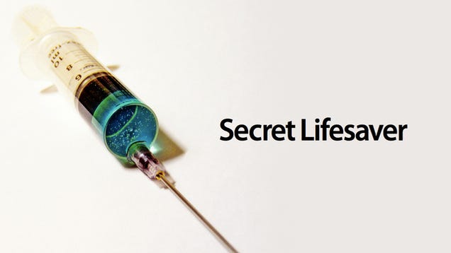 The 13 Most Amazing Science Stories of 2012