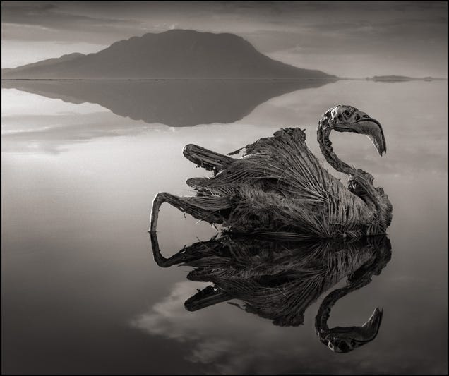 The Most Amazing Science Images of 2013