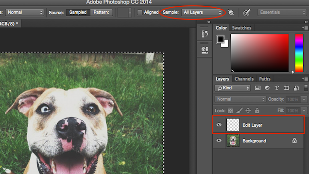 ​Make Photoshop Edits in Empty Layers Instead of Existing Ones