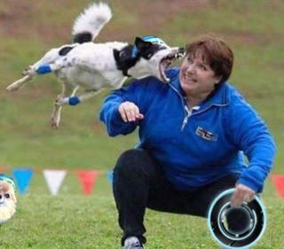 Kotaku 'Shop Contest: Tron Dog: The Winners