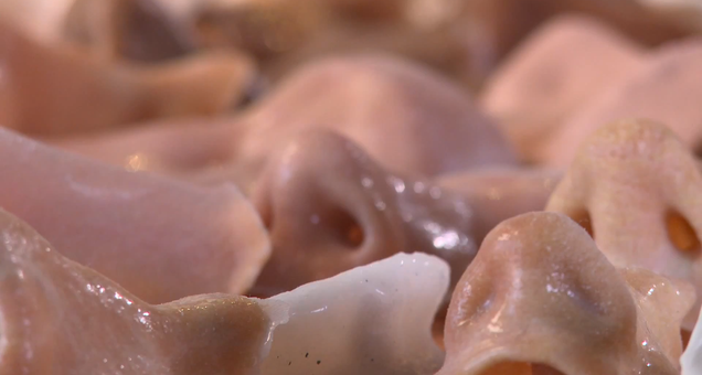 How 3D Printers Are Cranking Out Eyes, Bones, and Blood Vessels