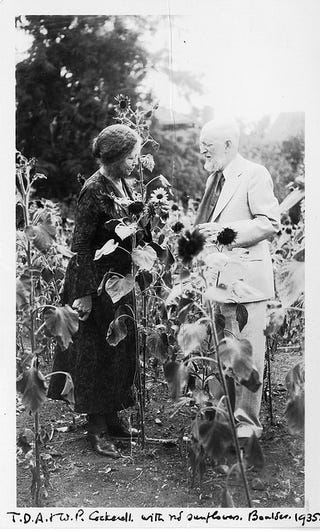 Historical Photographs of Scientists in Love
