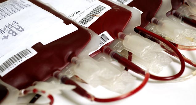 Una nueva técnica logra convertir cualquier tipo de sangre en universal 1231893430988639633