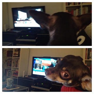 Live: Election Night 2012