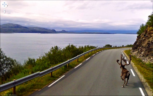 The Funniest Pictures Found on Google Street View