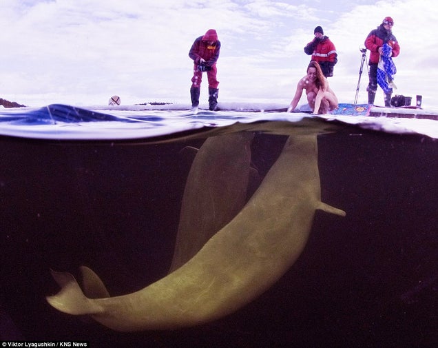 Gorgeous photographs of a naked woman taming beluga whales in frozen Arctic waters