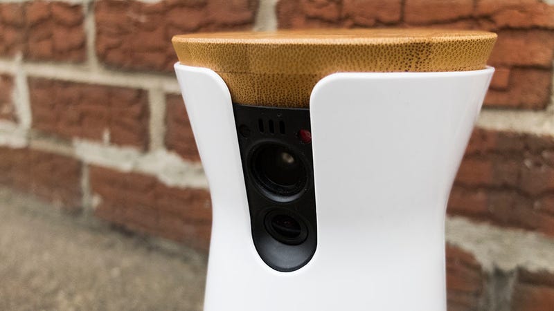This Pet Camera Confused My Dog and Busted My Naughty Landlord