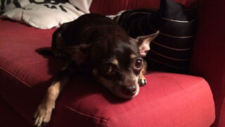 Parting Is Such Sweet Sorrow.