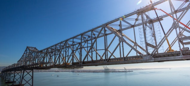 The Plan to Demolish SF's Old Bay Bridge Could Be Derailed By Birds