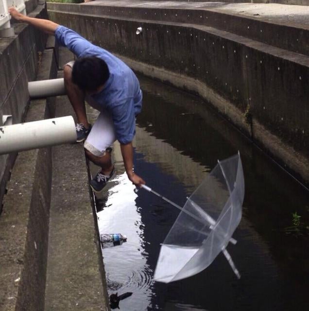 ​Heroic Rescue of a Kitten Captured on Twitter