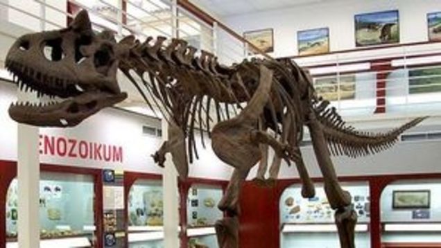 io9 Roundup: September 25, 2011