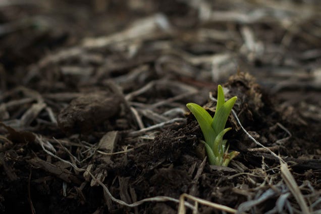 27 Serendipitous Shots Of Spring