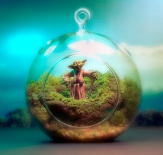 Star Wars terrariums bring a little piece of Dagobah into your home