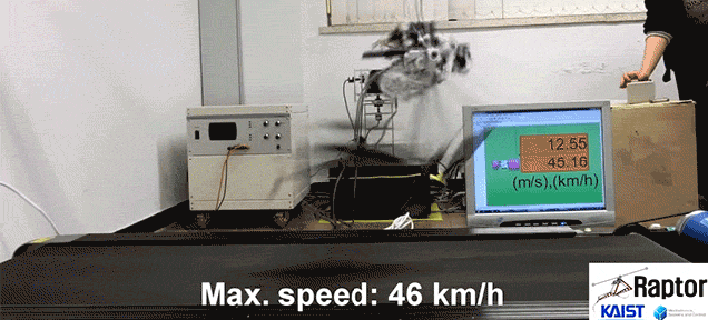 This Terrifying Robo-Raptor Will Hunt You Down at 29 MPH