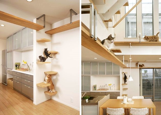 This Is the Perfect House If You Are a Cat