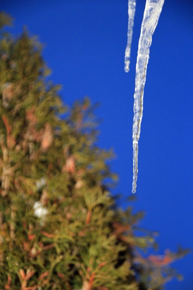 14 Frozen Photos Of The Polar Vortex