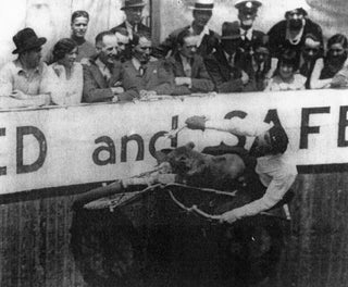 In the 1930s, daredevils would drive up walls with lions for passengers