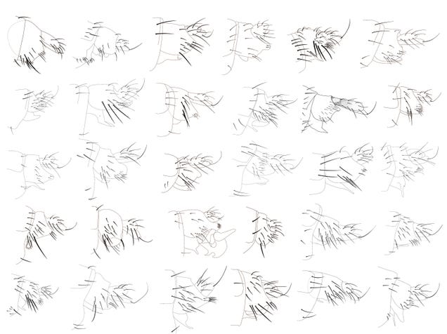 30 Previously-Unknown Species of Fly Discovered in Los Angeles