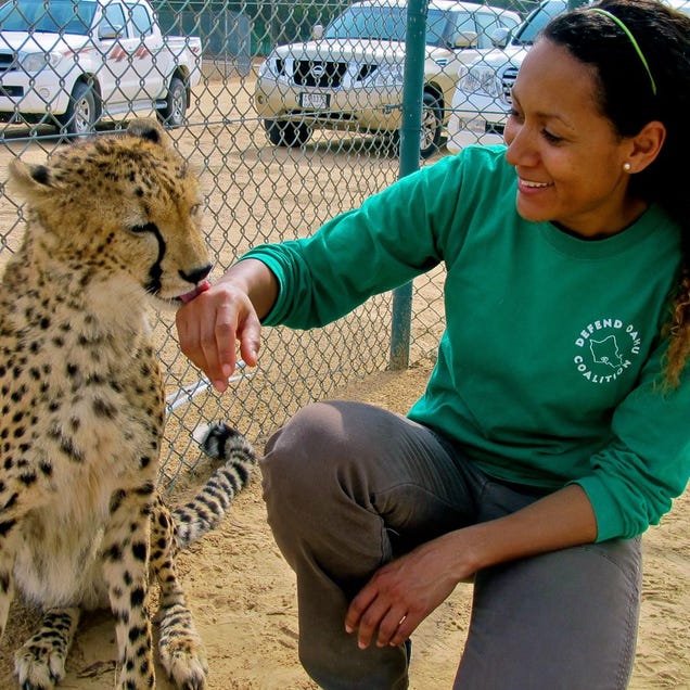 TGIF: Show Us Your Squee!