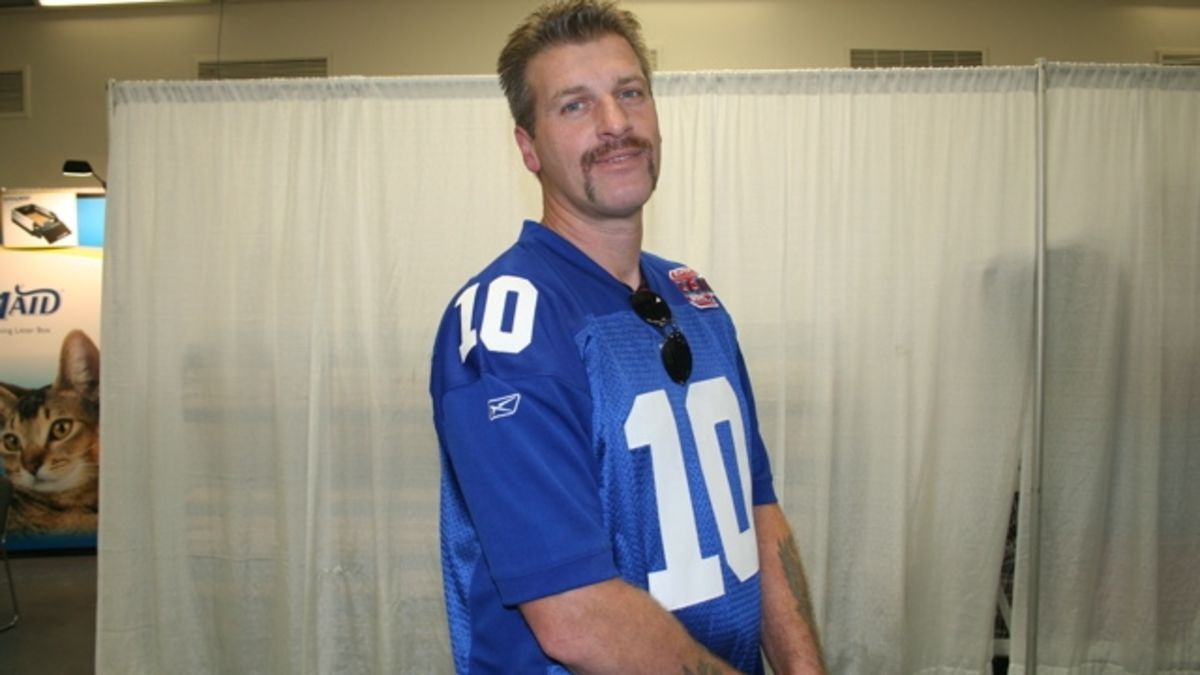 Cats Being CAThletes: An Afternoon at the CFA Iams Cat Championship