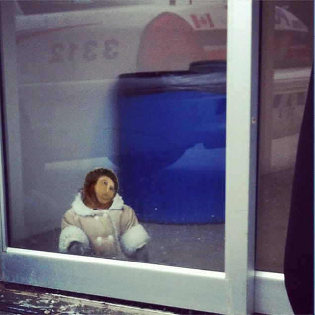 The Best of Ikea Monkey, the Meme