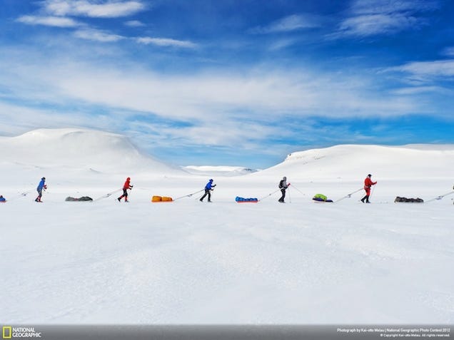 The winning images from Nat Geo's 2012 Photography Competition will blow you away
