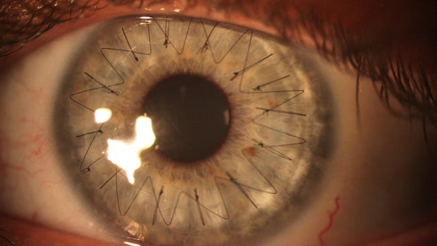 The 100 Most Astonishing Images of 2012