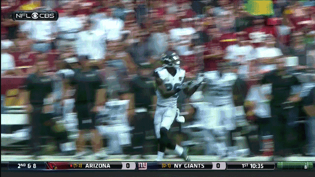 The Jacksonville Jaguars, In One GIF