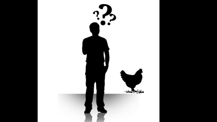 Why I Talked About Chickens to a Room Full of Game Developers