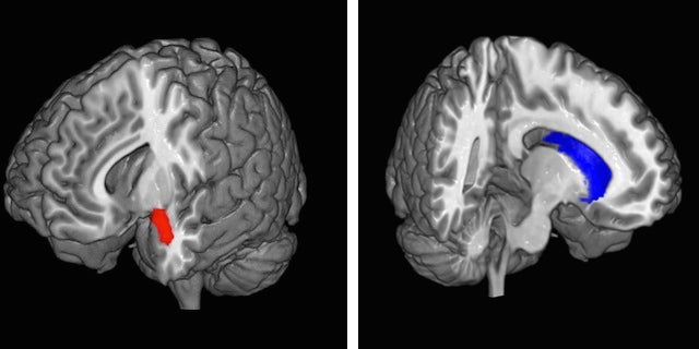 Todo lo que conoces sobre la meditación probablemente es incorrecto