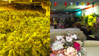 Fake Furniture Store Hid $2 Million Worth of Weed in Back Room, Cops Say